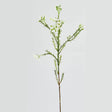 EDG Enzo De Gasperi Plumaggine Ramo Realistico 67cm Verde Bianco
