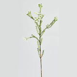 EDG Enzo De Gasperi Plumaggine Ramo Realistico 67cm Verde Bianco