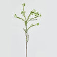 EDG Enzo De Gasperi Plumaggine Ramo Realistico 67cm Verde Bianco