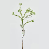 EDG Enzo De Gasperi Plumaggine Ramo Realistico 67cm Verde Bianco