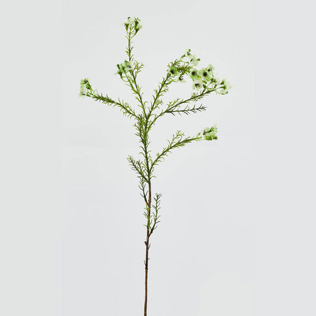 EDG Enzo De Gasperi Plumaggine Ramo Realistico 67cm Verde Bianco