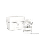 MUHA' Rosa 50ml Profumatore D'Ambiente Diffusore Acqua & Sale