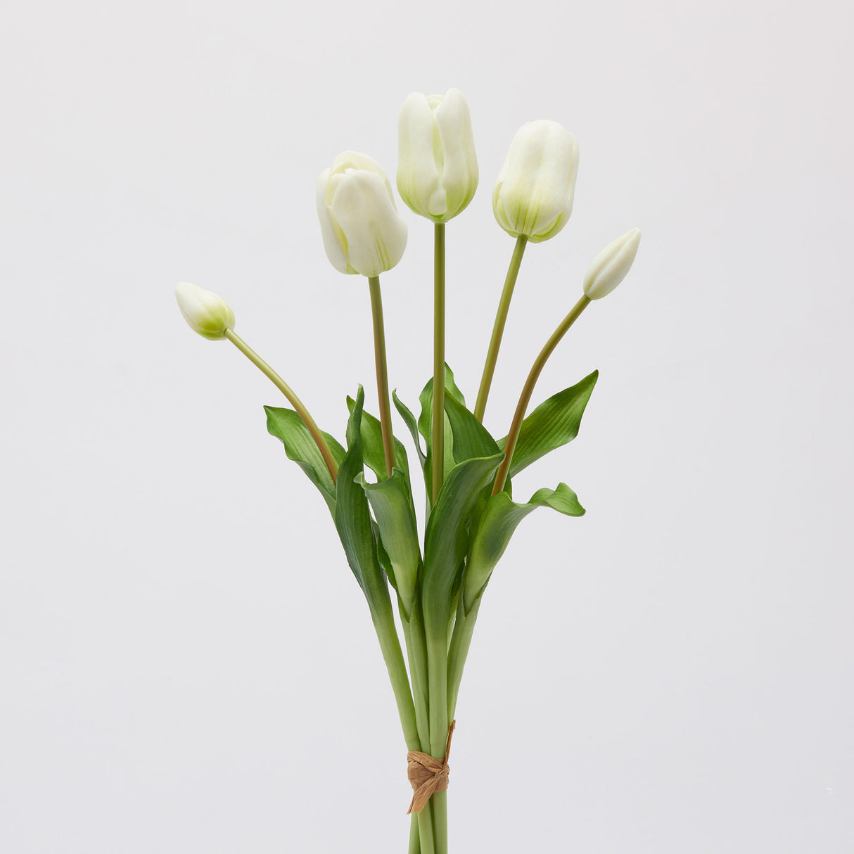 EDG Enzo De Gasperi Mazzo Tulipani con Foglie Artificiali 5 Fiori 48cm Bianco