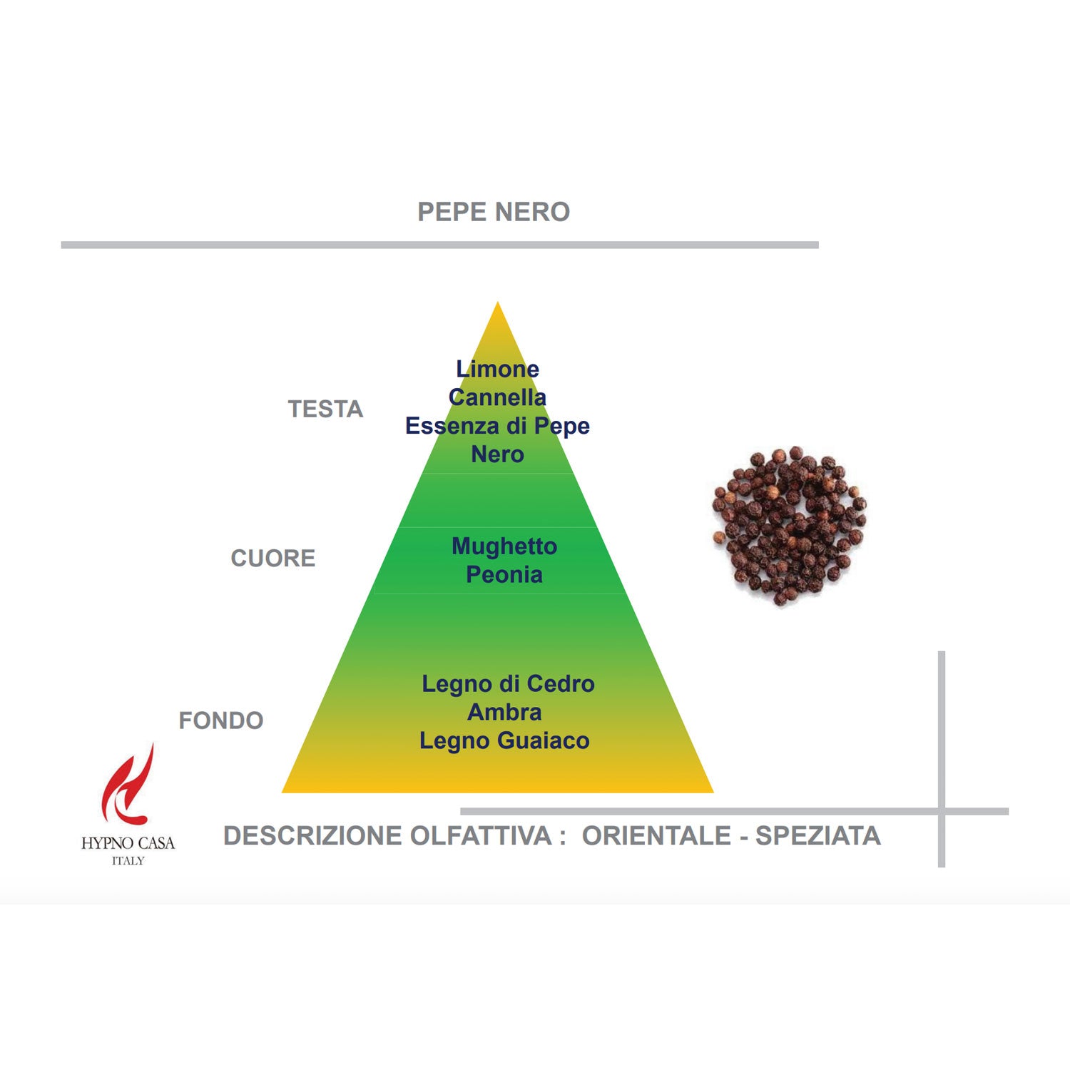 HYPNO CASA - Profumatore Deodorante per Auto Scimmia Nero Pepe Nero