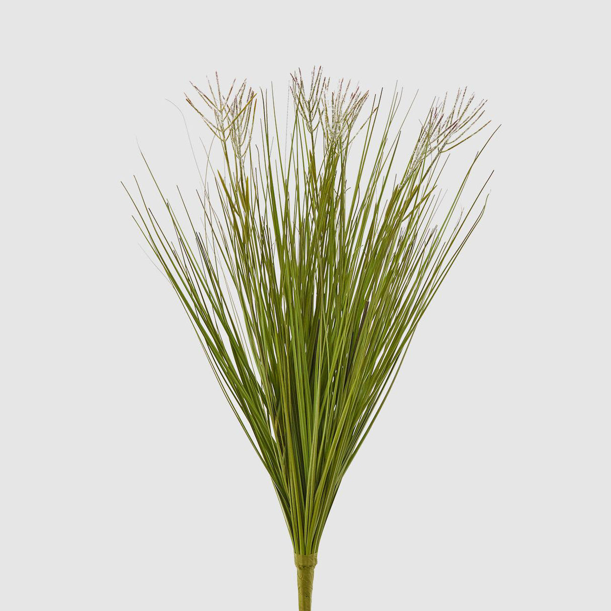 EDG Enzo De Gasperi Realistic Festuca Bush 54cm Green