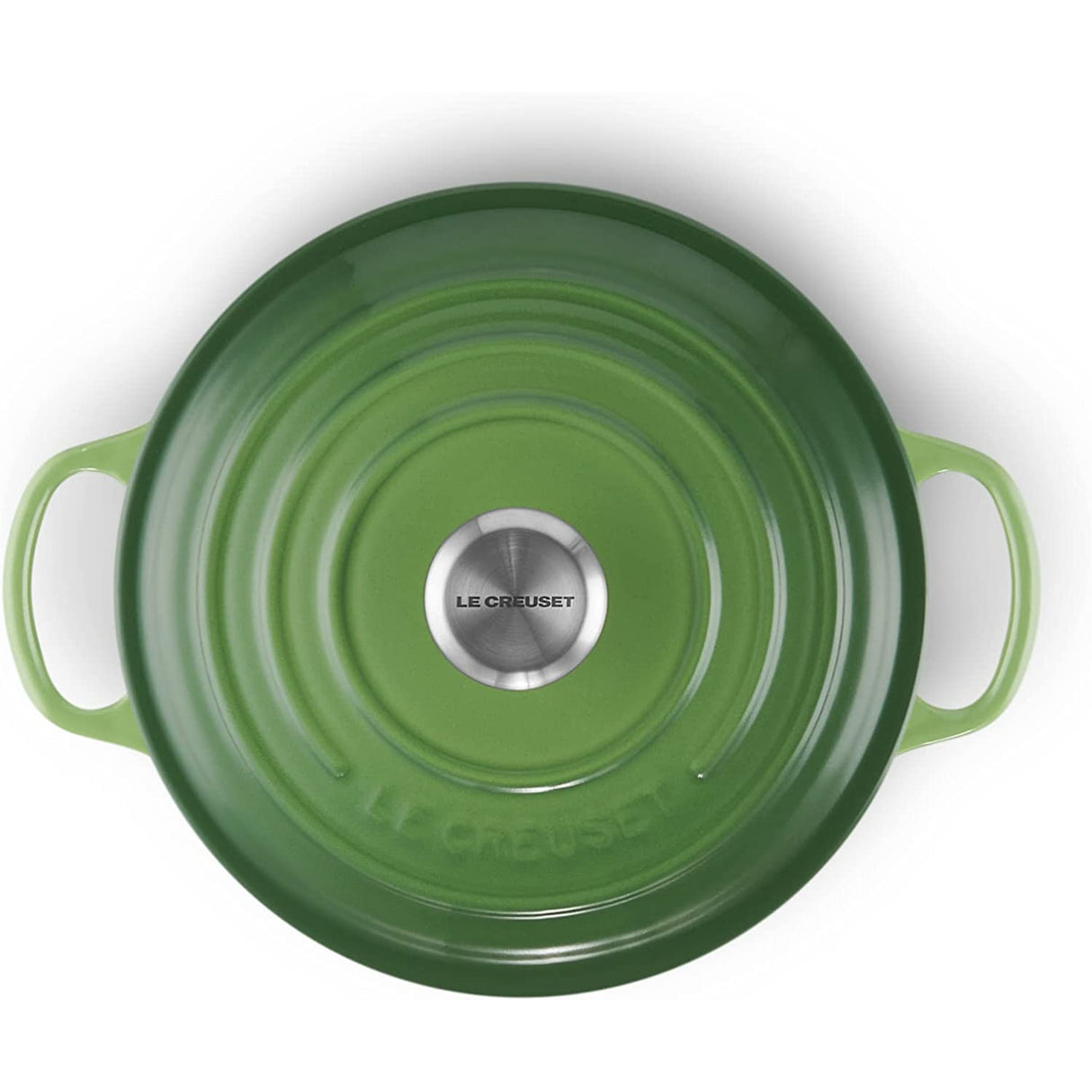 LE CREUSET Cocotte Rotonda Evolution 20cm Verde Bamboo Ghisa Vetrificata