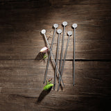 VILLEROY &amp; BOCH BBQ Passion Grilling Skewers Set of 6 Stainless Steel