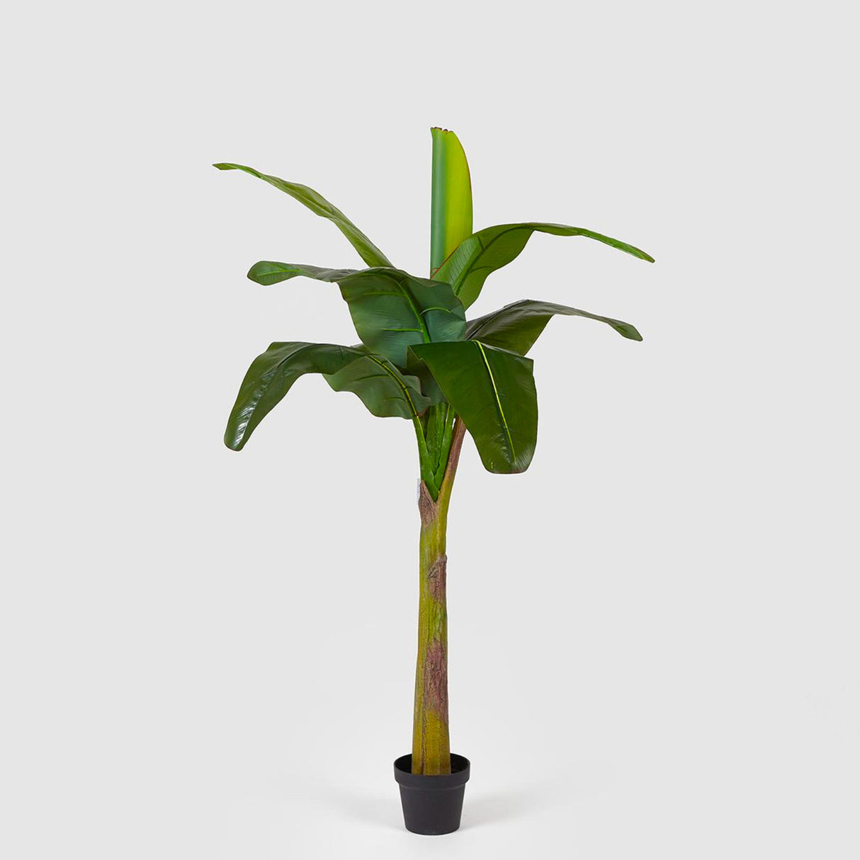EDG Enzo De Gasperi Artificial Banana Plant with Pot 170cm 9 Leaves Green