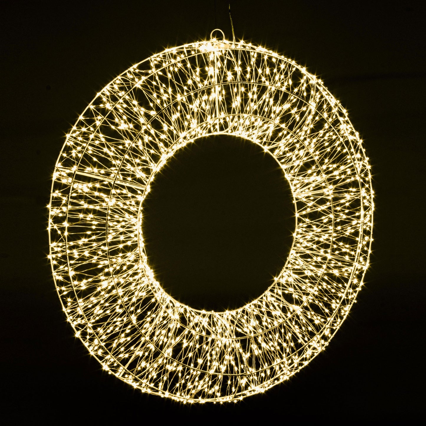 BIZZOTTO Corona Ghirlanda Luminosa 70cm con 1920 Microled