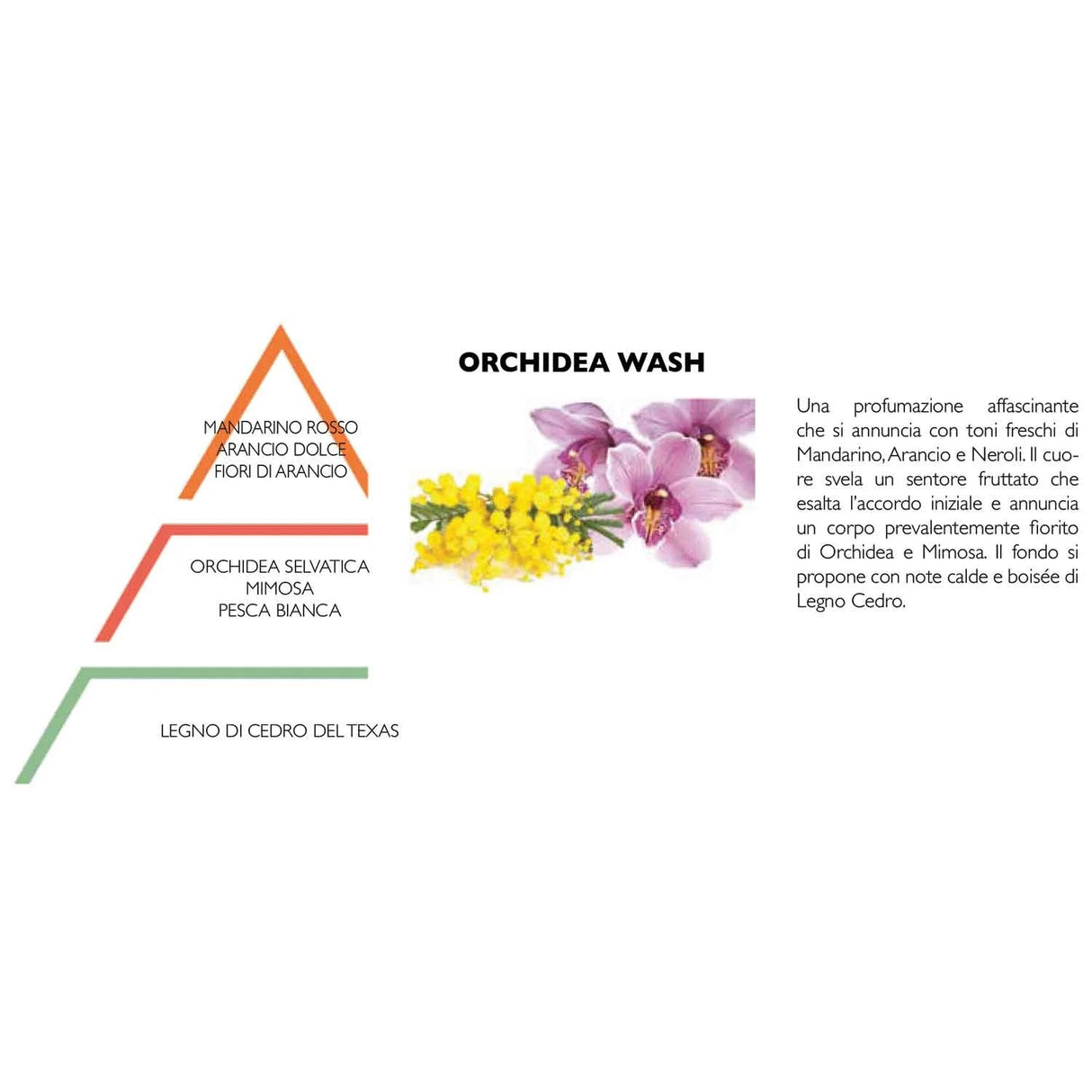 HYPNO CASA Profumo Bucato Lavatrice 200ml Orchidea Wash