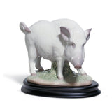 LLADRO' Figurina Il Cinghiale 15x19cm Porcellana