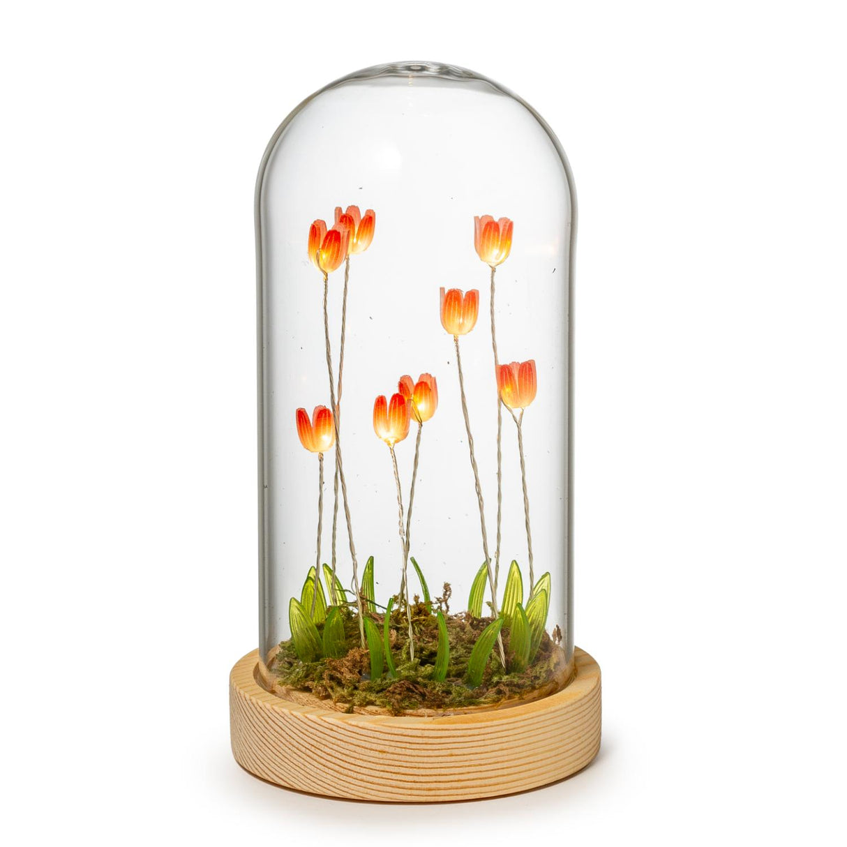 PALAIS ROYAL Cupola in Vetro con Fiori e LED 9x17cm Vetro Base Legno