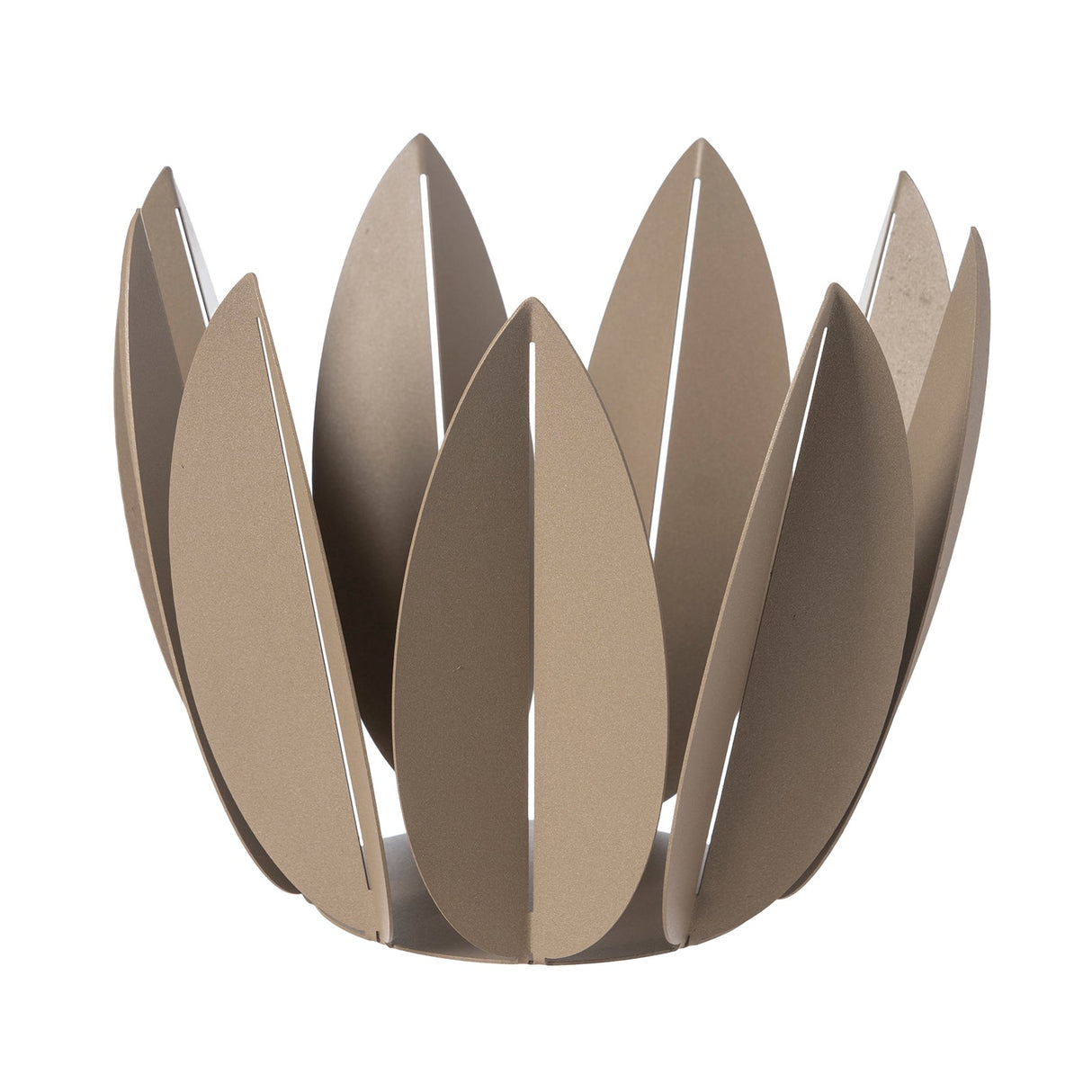 ARTI & MESTIERI Agrumiera Ficus Beige