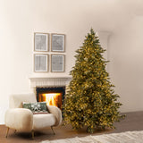 EDG Enzo De Gasperi Albero di Natale Pino Argentato 240x166cm con 5000 LED Realistico Natural 4988 Rami
