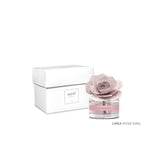 MUHA' Pink 50ml Air Freshener Ancient Amber Diffuser